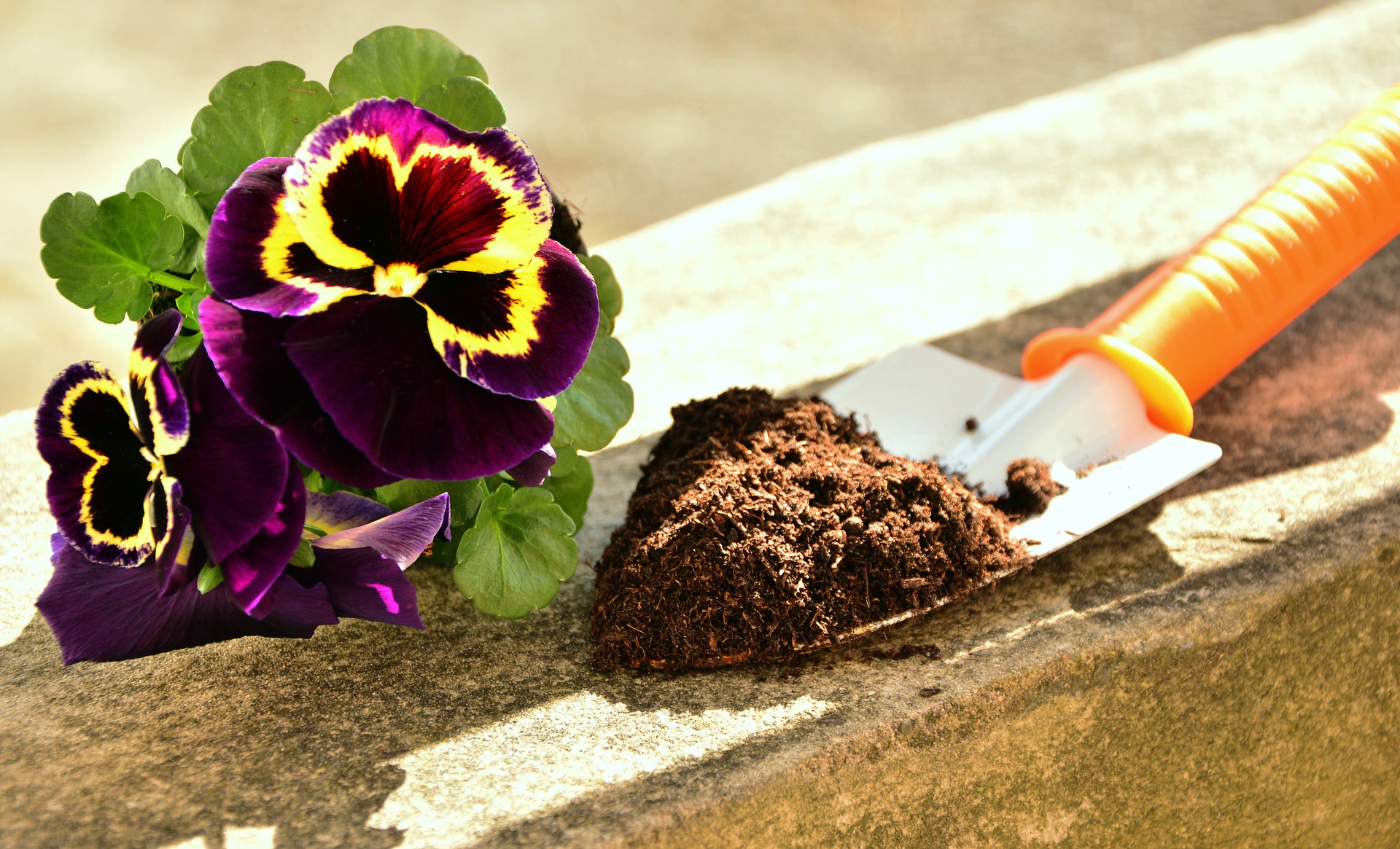 Blumenerde